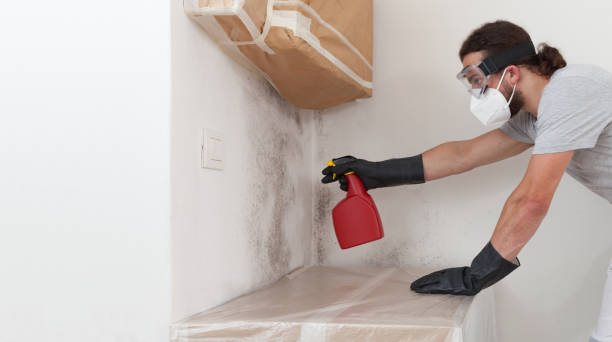 Professional Mold Inspection And Testing technician working in Brookside, NJ